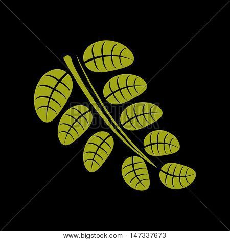 Simple green vector leaf of deciduous tree stylized nature element. Ecology symbol can be used in graphic design.
