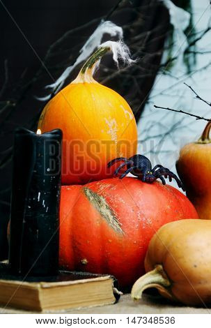 Halloween still life with pumpkins. Studio shot