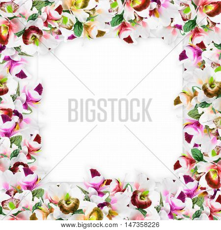 Vintage Vertical Card Spring. Colorful Blooming Branches Of Lilacflower Orchid Flower Print In Soft 