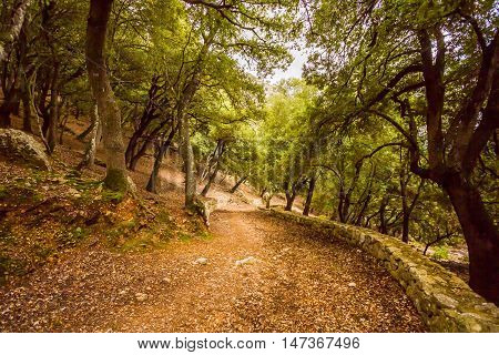 Beautiful view of Sierra de Tramuntana Mallorca Spain