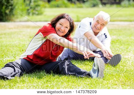Smiling Senior Couple Doing Fitness Exercise In Park