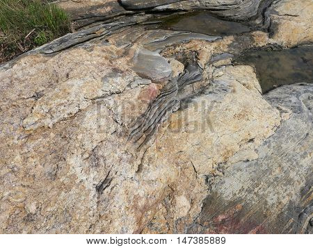 Pegmatite or Granite showing mica inclusion which is indicative of the Igneous rock outcrop on Cousin's Island in Maine