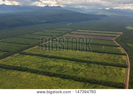 Fields of the Yelizovsky District in Kamchatka Peninsula. View from helicopter.
