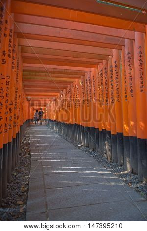 KYOTO, JAPAN - APRIL 30 , 2016 : Torii gates in Fushimi Inari Shrine, Kyoto, Japan. APRIL 30 2016. walkway in Torii gates.