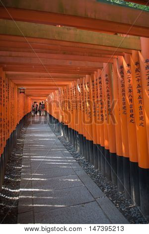 KYOTO, JAPAN - APRIL 30 , 2016 : Torii gates in Fushimi Inari Shrine, Kyoto, Japan. APRIL 30 2016. walkway in Torii gates.
