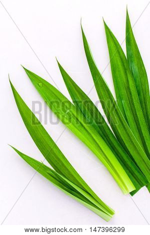 Thai Herbal Ingredpandan Leaves 's Herbal Ingredient For Dessert ,tea And Aromatherapy. Sweet And Ea