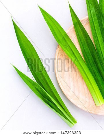 Pandan Leaves 's Herbal Ingredient For Dessert ,tea And Aromatherapy. Sweet And Earthy Aroma .