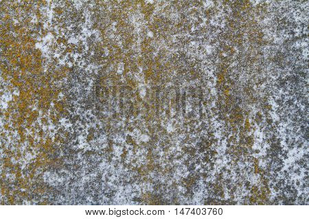 moss covered stone grunge grim bump texture