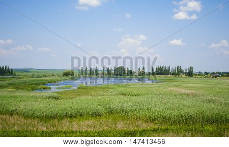 landscape of sky with clouds and the lake overgrown with reeds summer and a house with a red roof and trees in the distance