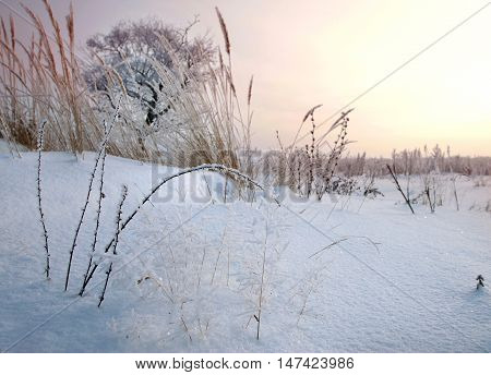 Winter Day
