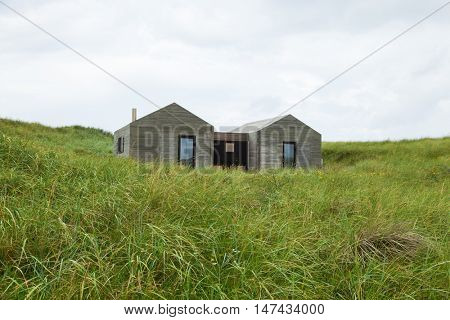 modern minimalist wooden houses surrounded by lawn