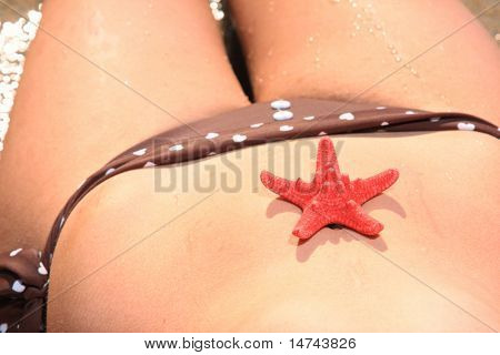 femme sexy à la plage, bain de soleil sur adminspec