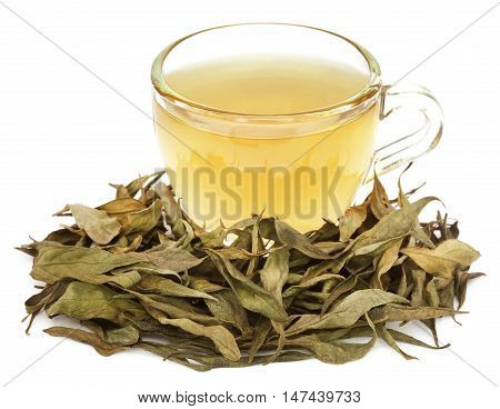 Ayurvedic medicinal Chirata with herbal tea in a cup over white background