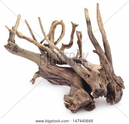 Close up of Bogwood over white background