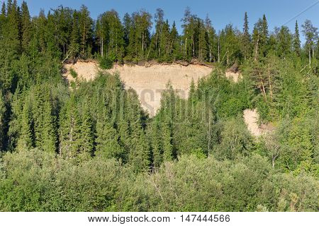 Sandy Breakage With Dense Forest