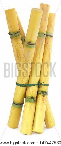 Close up of Pieces of sugarcane over white background