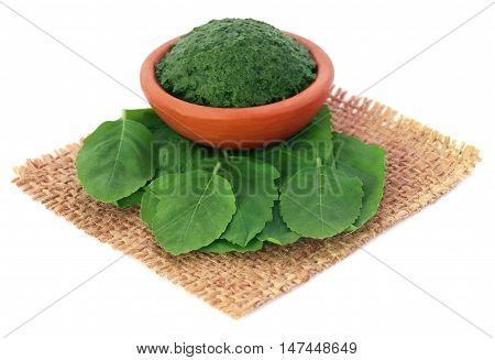 Medicinal holy basil or tulsi leaves with ground paste in a pottery
