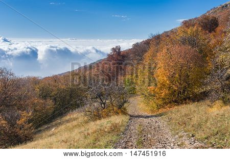 View from Babuhan Yaila natural reserve down to Black Sea in autumnal season when fog arises from the sea and goes to mountains when sun warms water.