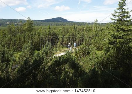 Three lake moor (Trijezerni slat), National Park Sumava, Bohemian forest, Czech Republic