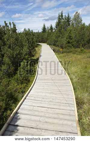 Three lake moor (Trijezerni slat), National Park Sumava, Bohemian forest, Czech Republic
