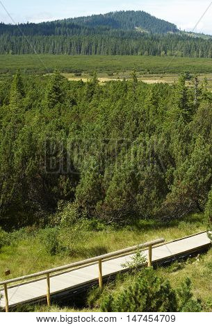 Three lake moor (Trijezerni slat), National Park Sumava, Bohemian forest, Czech Republic