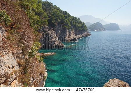 The Ecologically Cleanest Adriatic Sea