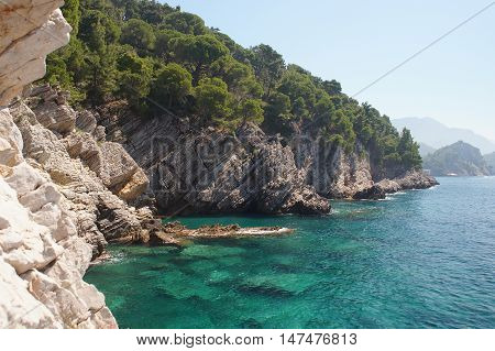 The Ecologically Cleanest Adriatic Sea