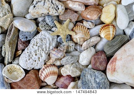 Detail of the various sea pebbles on the beach with shells