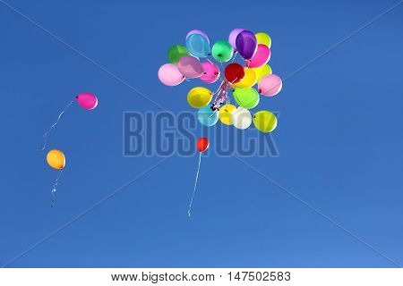 many multicolored balloons flying in the blue sky