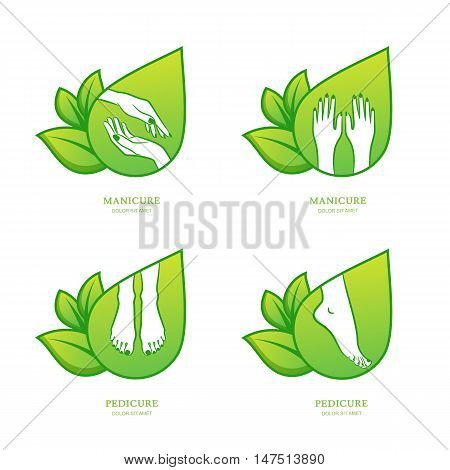 Vector set of womens manicure and pedicure logo emblem label design template. Female hands with green leaves. Concept for beauty salon manicure and pedicure cosmetics organic body care and spa.