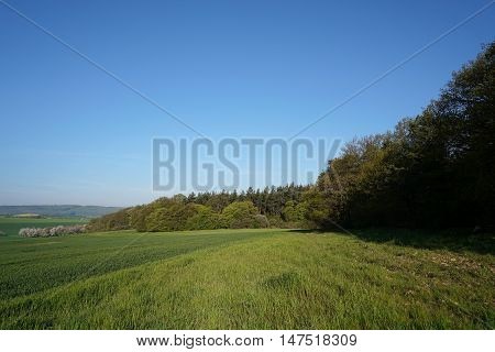 Landscape in the Harz National Park at Timmenrode
