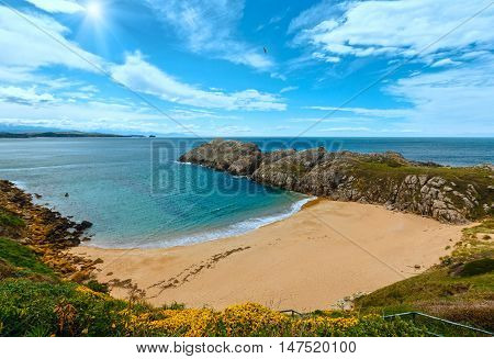 Blossoming Sunshiny Ocean Coastline Landscape.