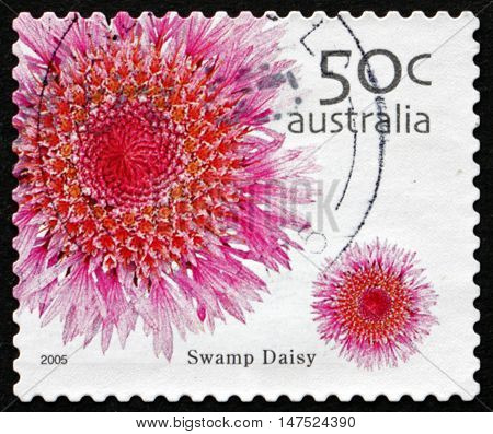 AUSTRALIA - CIRCA 2005: a stamp printed in Australia shows Swamp Daisy Actinodium Cunninghamii Flowering Plant circa 2005