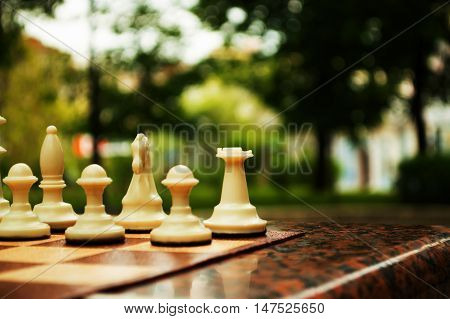 Chess and board for plaing chess in the park