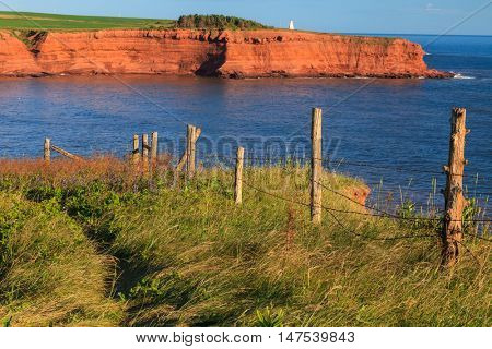 Cliffs on the north shore of Prince Edward Island with Cape Tryon lighthouse in the distance.