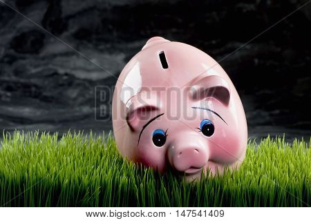 Pink piggy bank at dusk with room for your type.