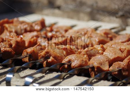 a Shashlik on skewers closeup on grill