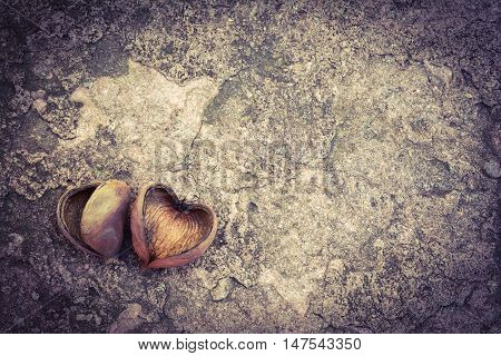 Concept romantic lover of nature. Seed dry on vintage stone floor.