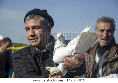 Istanbul Turkey - January 01 2015: Outdoor Bird Market in Istanbul. Topkapi Edirnekapi bird market every week on Saturdays and Sundays open market. Day 1000 - 1500 people are said to have visited the market. in many colors in the market many species are s