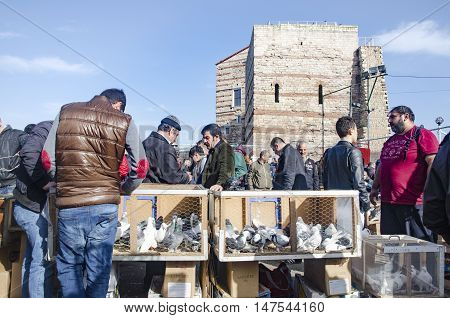 Istanbul Turkey - January 01 2015: Outdoor Bird Market in Istanbul. Topkapi Edirnekapi bird market every week on Saturdays and Sundays open market. Day 1000 - 1500 people are said to have visited the market. in many colors in the market many species are s