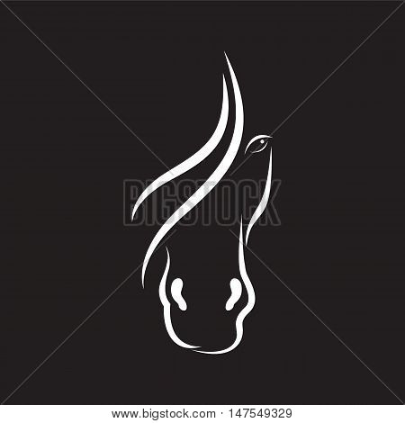 Vector image of horse face design on black background.
