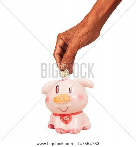 Elderly hand man save money with pink piggy pank isolate background