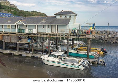 Ventnor/UK. 13th September 2016. A coastal fishing port  on the southern tip of the Isle of Wight. Much of the Island's fresh fish is produced through this port.