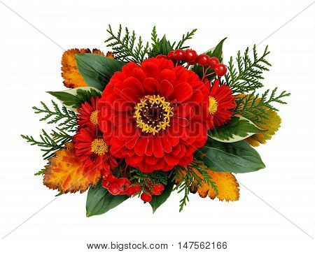 Autumn composithion with zinnia flowers isolated on white