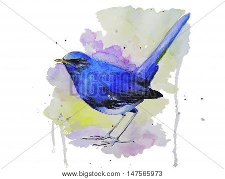 Blue bird on a wet, watercolor illustration.