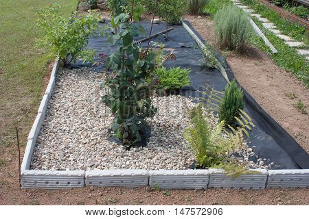Earth is covered with a special cloth on top of the gravel. Water is supplied to the plants, and there is no sunlight, so the weed does not grow