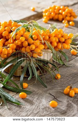 Seabuckthorn Berries Branch On Vintage Wooden Background. Autumn Background.