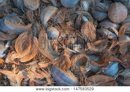 background of coconut spathe fiber on the ground , texture from nature