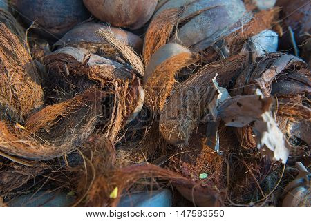 background of coconut spathe fiber on the ground , texture from nature