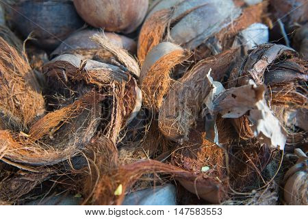 background of coconut spathe fiber on the ground , texture from nature